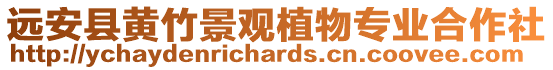 遠安縣黃竹景觀植物專業合作社