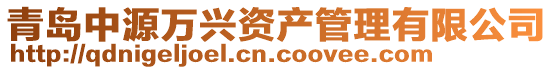 青島中源萬興資產管理有限公司