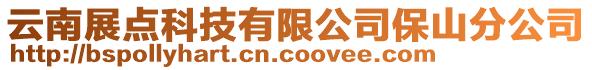 云南展點科技有限公司保山分公司