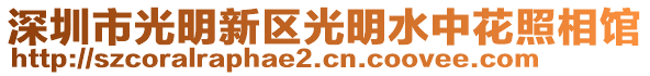 深圳市光明新區光明水中花照相館