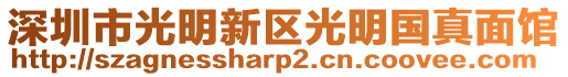 深圳市光明新區(qū)光明國真面館