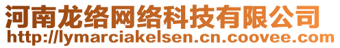 河南龍絡(luò)網(wǎng)絡(luò)科技有限公司