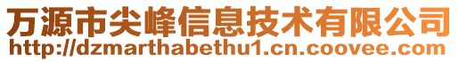 萬源市尖峰信息技術有限公司