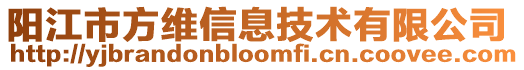 陽江市方維信息技術有限公司