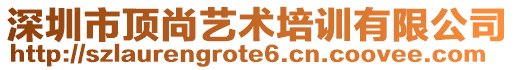 深圳市頂尚藝術(shù)培訓(xùn)有限公司