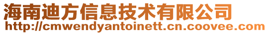 海南迪方信息技術有限公司