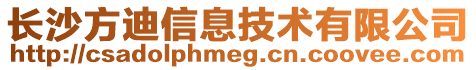 長(zhǎng)沙方迪信息技術(shù)有限公司