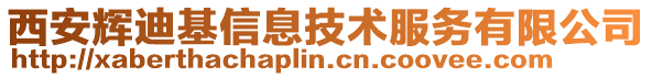 西安輝迪基信息技術(shù)服務(wù)有限公司