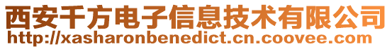 西安千方電子信息技術(shù)有限公司