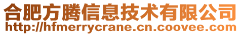 合肥方騰信息技術有限公司
