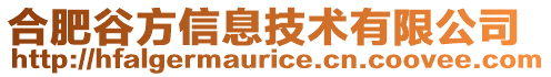 合肥谷方信息技術(shù)有限公司