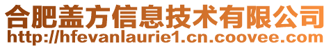 合肥蓋方信息技術(shù)有限公司