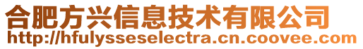 合肥方興信息技術(shù)有限公司