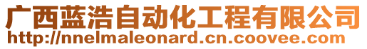 廣西藍浩自動化工程有限公司