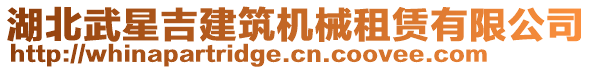 湖北武星吉建筑機械租賃有限公司