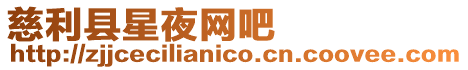 慈利縣星夜網(wǎng)吧