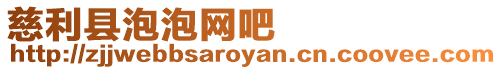 慈利縣泡泡網(wǎng)吧