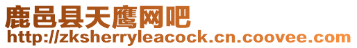 鹿邑縣天鷹網(wǎng)吧