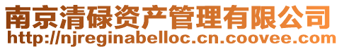 南京清碌資產管理有限公司