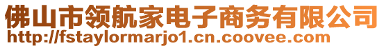 佛山市領航家電子商務有限公司