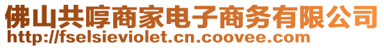 佛山共啍商家電子商務(wù)有限公司