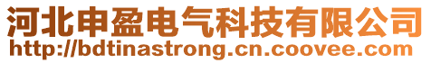 河北申盈電氣科技有限公司