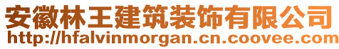 安徽林王建筑裝飾有限公司