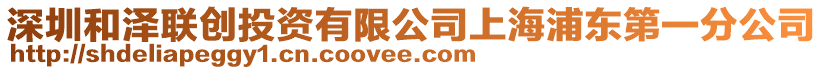 深圳和澤聯創投資有限公司上海浦東第一分公司