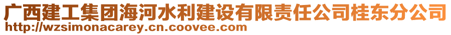 廣西建工集團海河水利建設有限責任公司桂東分公司