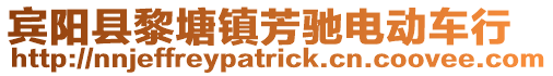 賓陽縣黎塘鎮芳馳電動車行