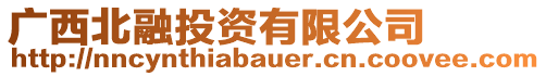 廣西北融投資有限公司