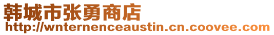 韓城市張勇商店