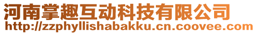 河南掌趣互動科技有限公司