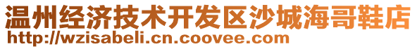 溫州經濟技術開發區沙城海哥鞋店