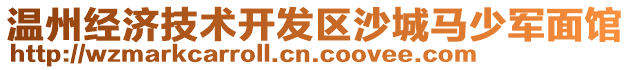 溫州經濟技術開發區沙城馬少軍面館