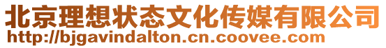 北京理想狀態文化傳媒有限公司