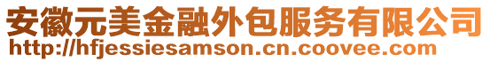安徽元美金融外包服務(wù)有限公司