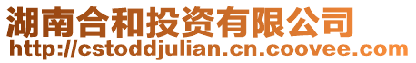 湖南合和投資有限公司