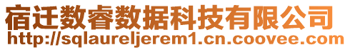宿遷數睿數據科技有限公司