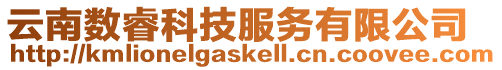 云南數(shù)睿科技服務(wù)有限公司