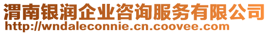 渭南銀潤企業(yè)咨詢服務(wù)有限公司