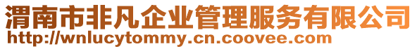 渭南市非凡企業管理服務有限公司
