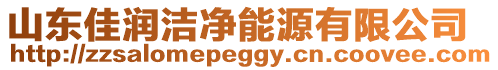 山東佳潤潔凈能源有限公司