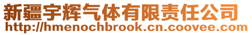 新疆宇輝氣體有限責任公司