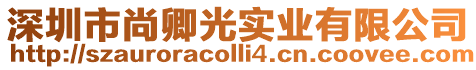 深圳市尚卿光實業有限公司