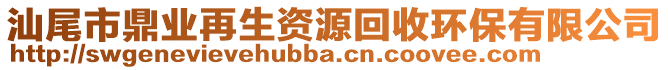 汕尾市鼎業(yè)再生資源回收環(huán)保有限公司