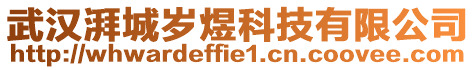 武漢湃城歲煜科技有限公司