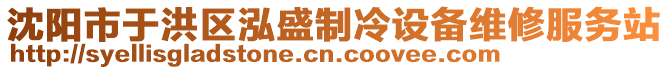 沈陽市于洪區(qū)泓盛制冷設備維修服務站