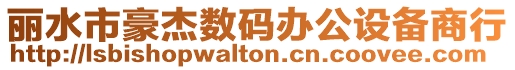 麗水市豪杰數(shù)碼辦公設備商行