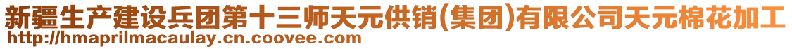 新疆生產(chǎn)建設(shè)兵團(tuán)第十三師天元供銷(集團(tuán))有限公司天元棉花加工